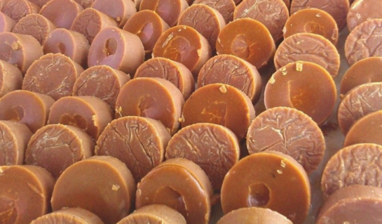 Through Greener Palm Sugar, RI Can Reach Self-Sufficiency