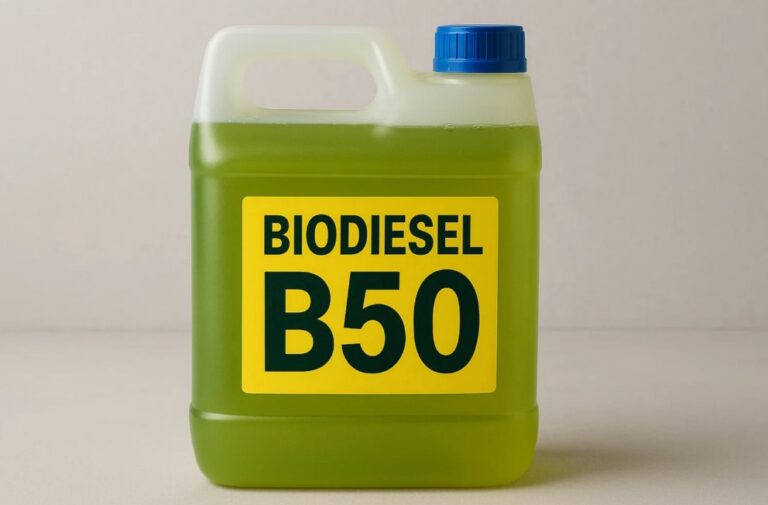 President Prabowo Confirms RI To Implement B50 This Year