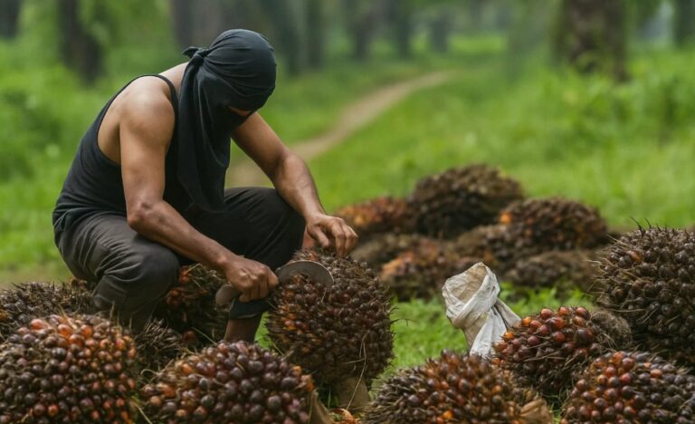 GAPKI Admits Labor Problems In Palm Industry, But Not Crisis
