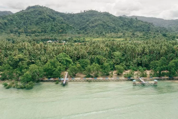 RI To Rehabilitate 15,387 Ha Mangrove Forests In 4 Provinces