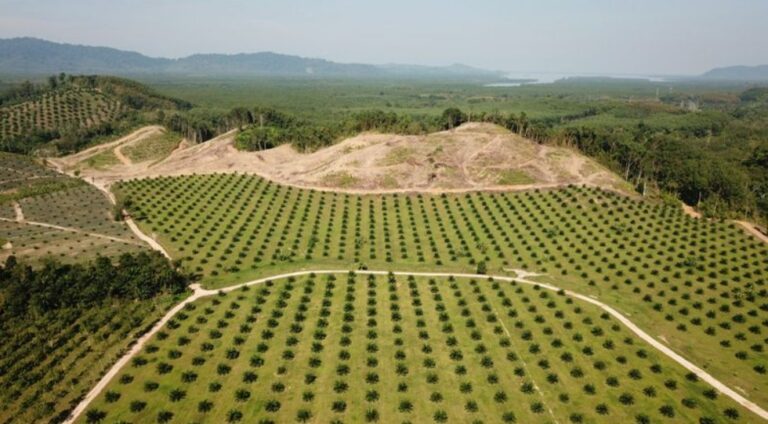 CPOPC Calls For EU’s Legal Clarity, Green Progress Recognition 