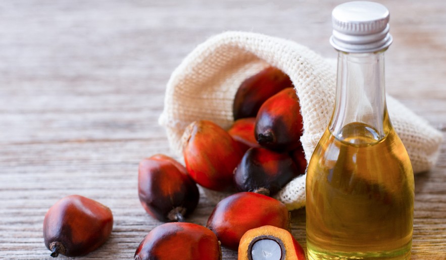 Indonesian Palm Oil: Strengthening Trade Relations and Ensuring Price Stability in Pakistan’s Market