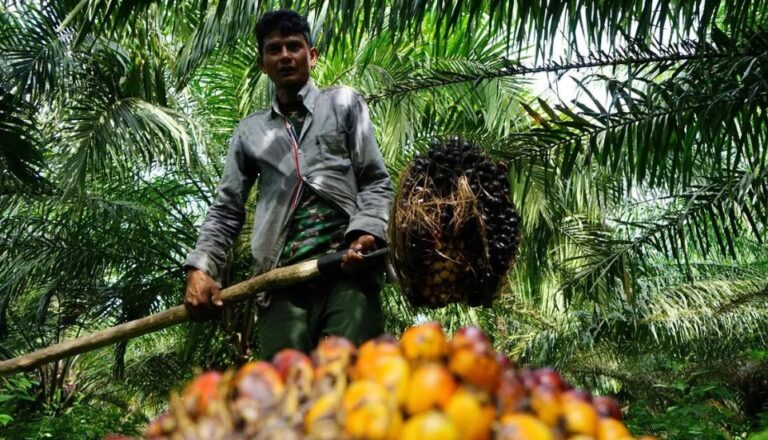 Govt To Dilute Its Policy Of Export Centralization: Sources