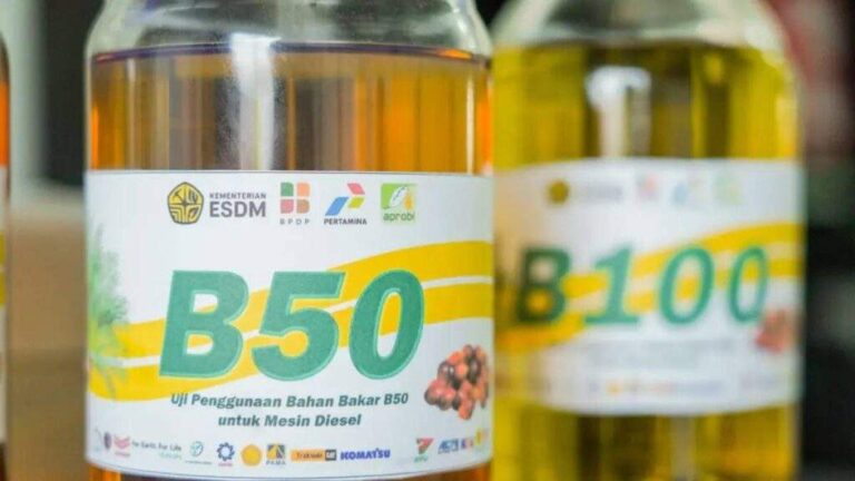 Indef: Govt Should Watch Out Potential Deficit Of B50 Funding