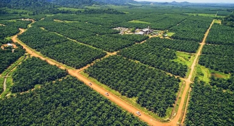 RI Enhances Position In Global Carbon Market Through SRUK