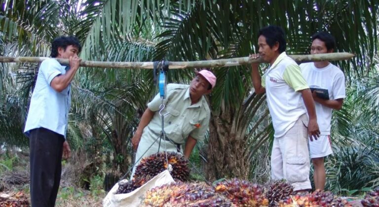 BRIN: RI Has Big Potential To Produce Bio-CNG From Palm waste
