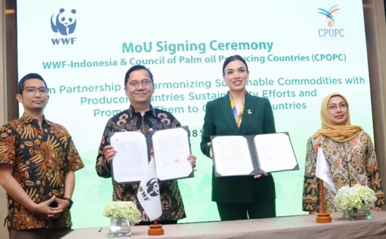 WWF-Indonesia and CPOPC Strengthen ISPO Certification for Global Markets